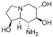 1,6,7-Indolizinetriol, 8-aminooctahydro-, 1S-(1.alpha.,6.beta.,7.alpha.,8.beta.,8a.beta.)- 结构式