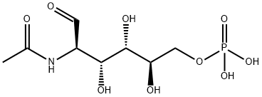 N-乙酰葡糖胺-6-磷酸 结构式