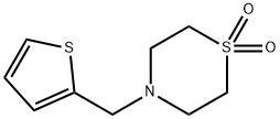 4-(2-THIENYLMETHYL)-1LAMBDA6,4-THIAZINANE-1,1-DIONE 结构式