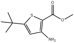 3-氨基-5-叔丁基噻吩-2-羧酸甲酯 结构式
