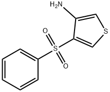 4-（苯基磺酰氯）噻酚-3-胺 结构式