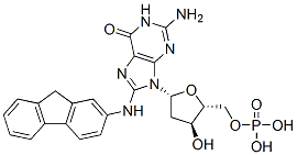 8-(N-fluoren-2-ylamino)-2'-deoxyguanosine 5'-monophosphate 结构式