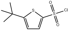 5-(叔丁基)噻吩-2-磺酰氯 结构式