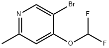 5-溴-4-(二氟甲氧基)-2-甲基吡啶 结构式