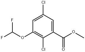 Methyl 2,5-dichloro-3-(difluoromethoxy)benzoate 结构式