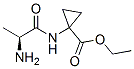 Cyclopropanecarboxylic acid, 1-[(2-amino-1-oxopropyl)amino]-, ethyl ester, (S)- (9CI) 结构式