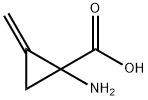 1-氨基-2-亚甲基环丙烷甲酸盐酸盐 结构式