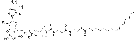 棕榈油酰辅酶A锂盐 结构式