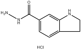 INDOLINE-6-CARBOHYDRAZIDE DIHYDROCHLORIDE 结构式