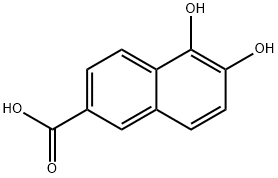 2-Naphthalenecarboxylic acid, 5,6-dihydroxy- (9CI) 结构式