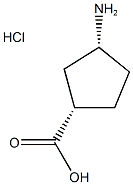 CIS-3-AMINOCYCLOPENTANE-1-CARBOXYLIC-ACID HYDROCHLORIDE 1G 结构式