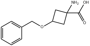 1-氨基-3-(苄氧基)环丁基甲酸 结构式