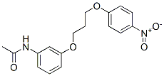 N-[3-[3-(4-nitrophenoxy)propoxy]phenyl]acetamide 结构式