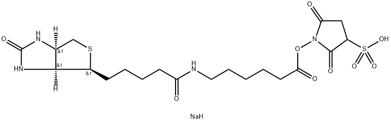 生物素化-EPSILON-氨基己酸-N-羟基磺基丁二酰亚胺活化酯 结构式