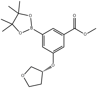 (R)-3-((四氢呋喃-3-基)氧基)-5-(4,4,5,5-四甲基-1,3,2-二氧硼烷-2-基)苯甲酸甲酯 结构式