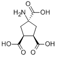 ACPT-II