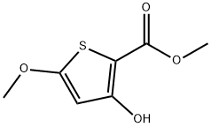 3-羟基-5-甲氧基噻吩-2-甲酸甲酯 结构式