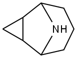 9-Azatricyclo[3.3.1.02,4]nonane(9CI) 结构式