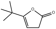 5-叔丁基-2(3H)-呋喃酮 结构式