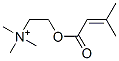 senecioylcholine 结构式