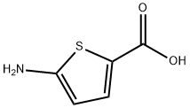 5-AMINOTHIOPHENE-2-CARBOXYLIC ACID 结构式