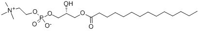 1-十四酰-2-羟基卵磷脂 结构式