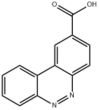 Benzo[c]cinnoline-2-carboxylic acid 结构式