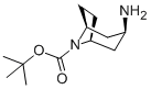 N-Boc-内-3-氨基托烷 结构式