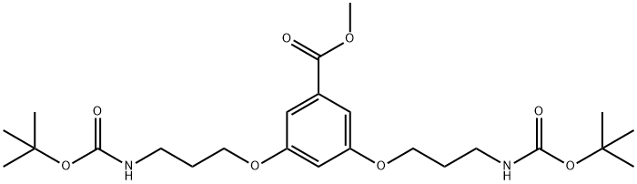 3,5-BIS[3-(TERT-BUTYLOXYCARBONYLAMINO)PROPYLOXY]BENZOIC ACID,98% 结构式