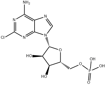 2-Chloro-AMP 结构式