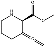 2-Piperidinecarboxylicacid,3-ethenylidene-,methylester,(2R)-(9CI) 结构式