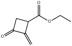 Cyclobutanecarboxylic acid, 2-methylene-3-oxo-, ethyl ester (9CI) 结构式