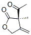 2(3H)-Furanone, 3-acetyldihydro-3-methyl-4-methylene-, (3R)- (9CI) 结构式