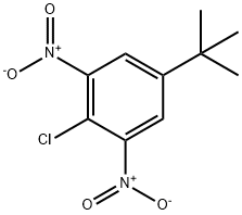 2-氯-5-叔丁基-1,3-二硝基苯 结构式