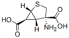 2-Thiabicyclo[3.1.0]hexane-4,6-dicarboxylicacid,4-amino-,(1R,4S,5S,6S)-(9CI) 结构式