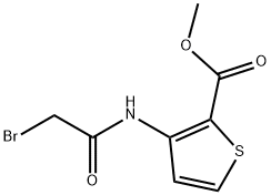 3-[(2-溴乙酰基)氨基]噻吩-2-羧酸甲酯 结构式