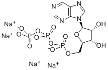 PURINE RIBOSIDE TRIPHOSPHATE 结构式