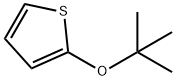 2-(叔丁氧基)噻吩 结构式