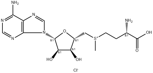 S-(5'-腺苷基)-L-氯化蛋氨酸 结构式