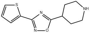 5-(哌啶-4-基)-3-(噻吩-2-基)-1,2,4-噁二唑 结构式