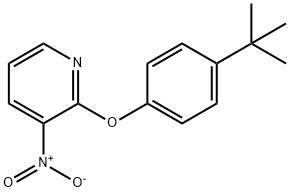 2-[4-(TERT-BUTYL)PHENOXY]-3-NITROPYRIDINE 结构式