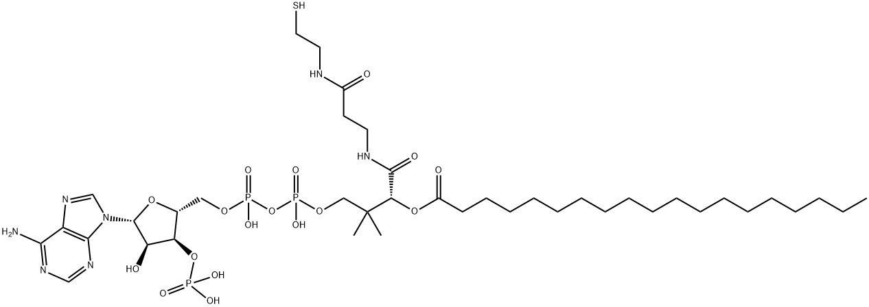 十九酰辅酶A 结构式