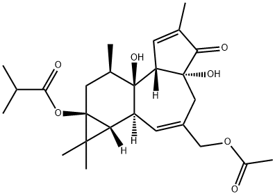 12-脱氧佛波醇-13-异丁酸酯-20-乙酸酯 结构式