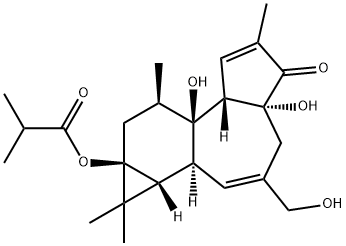 12-DEOXYPHORBOL 13-ISOBUTYRATE 结构式