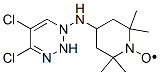 2,2,6,6-tetramethyl-4-(dichlorotriazin)aminopiperidine-1-oxyl 结构式