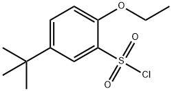 5-TERT-BUTYL-2-ETHOXYBENZENE-1-SULFONYL CHLORIDE 结构式