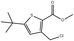 METHYL 5-(TERT-BUTYL)-3-(CHLOROMETHYL)THIOPHENE-2-CARBOXYLATE 结构式