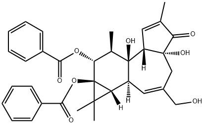 PHORBOL 12,13-DIBENZOATE 结构式