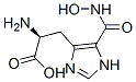 L-HISTIDINE HYDROXAMATE 结构式