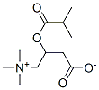 Isobutyroyl Carnitine 结构式